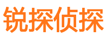 沈河市私家侦探